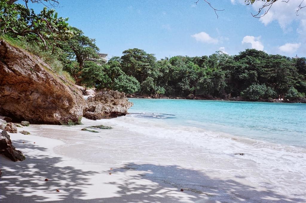 Boston Beach Guesthouse Port Antonio Exterior foto