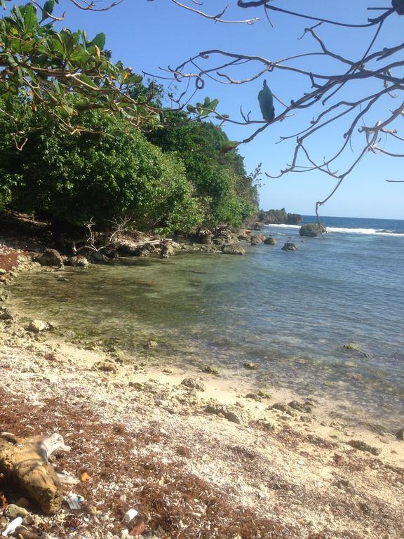 Boston Beach Guesthouse Port Antonio Exterior foto