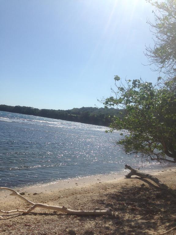 Boston Beach Guesthouse Port Antonio Exterior foto